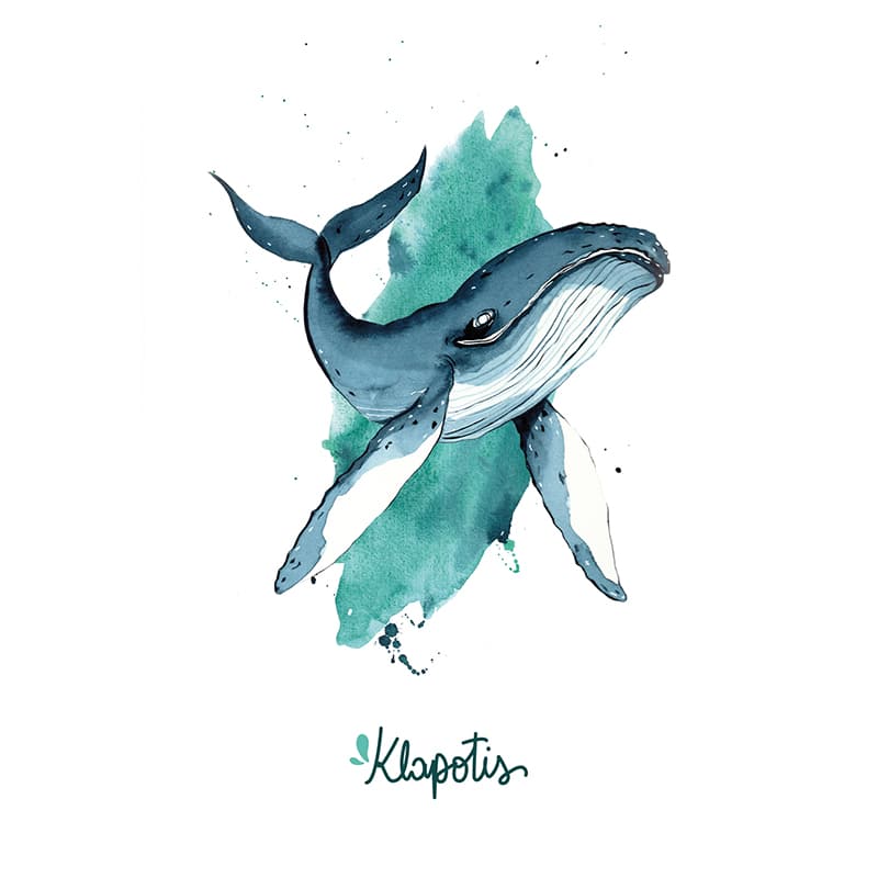 klapotis-carte-baleine-05