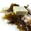 klapotis-savon-bio-naturel-fabrication-artisanale-francaise-vacances-bretonnes-08