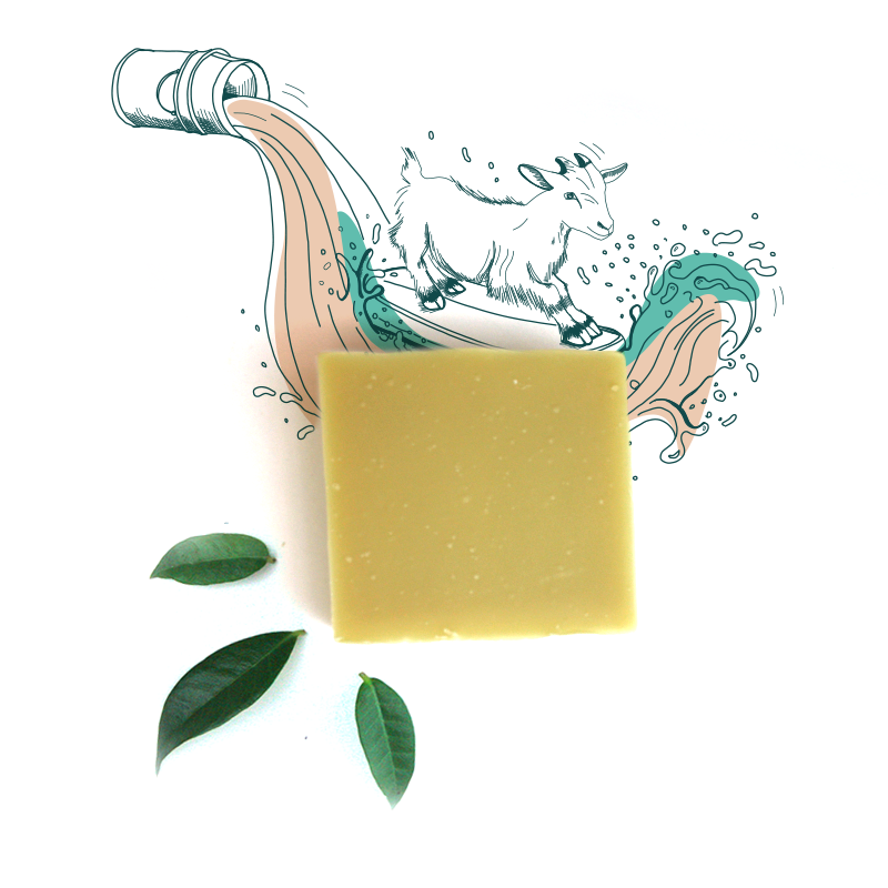 savon visage lait de chevre mon biquet klapotis