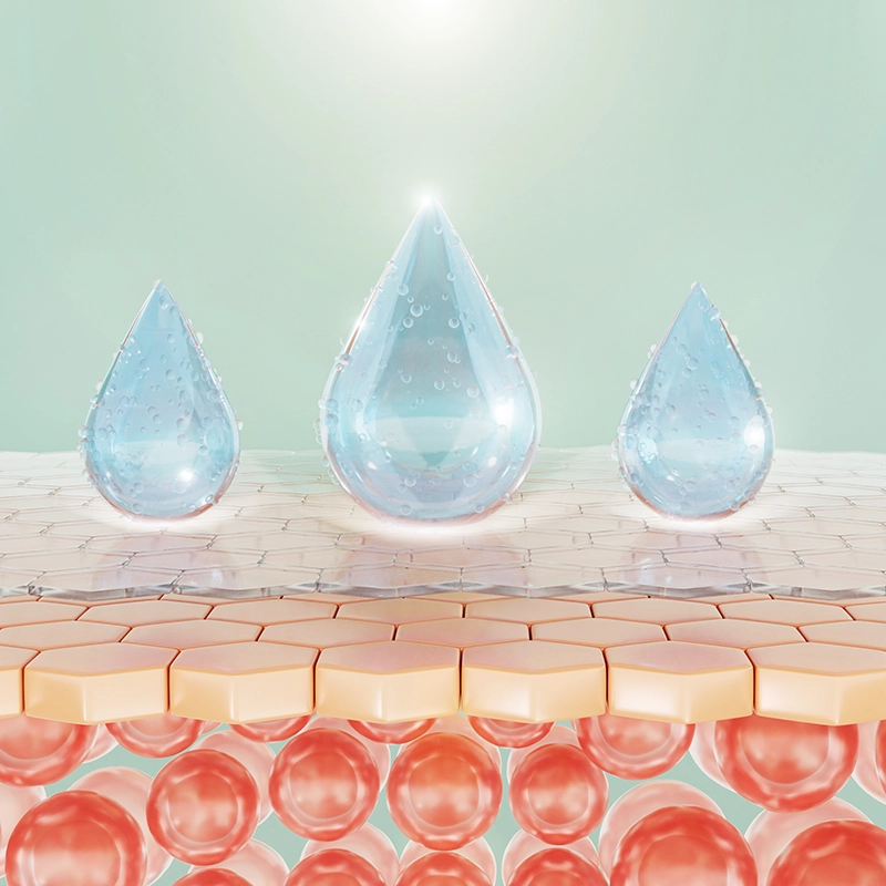 film hydrolipidique