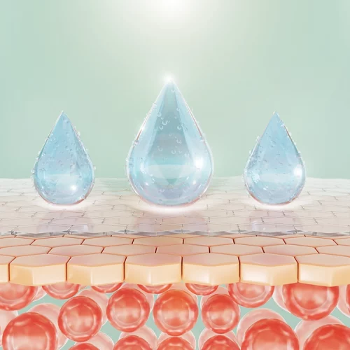 film hydrolipidique
