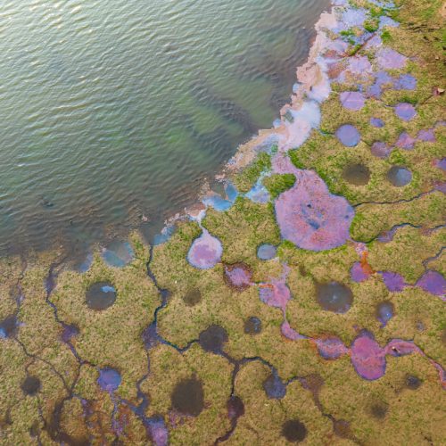 polluants éternels cosmétiques